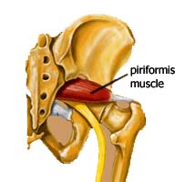 piriformis.jpg